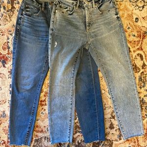 Loft Curvy Petite Jeans